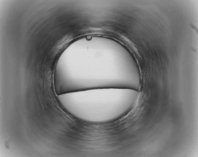 X0000091531411200708170940