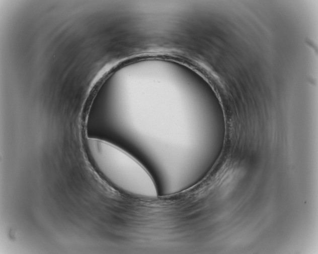 X0000091531412200708170940