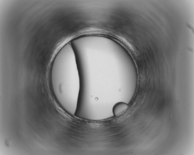 X0000091531413200708170940