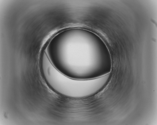 X0000091531414200708170940