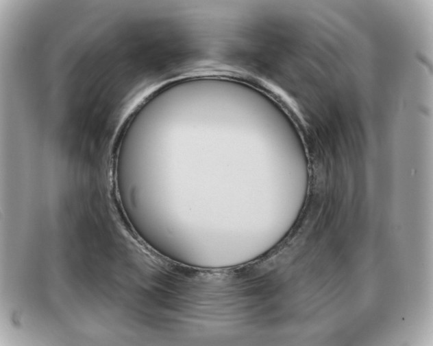 X0000091531415200708170940