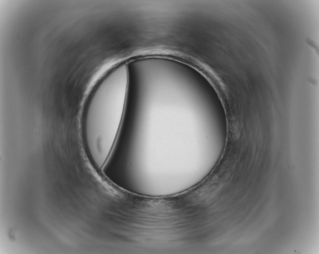 X0000091531416200708170940