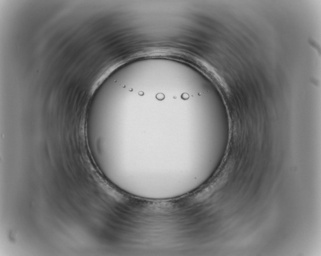 X0000091531417200708170940