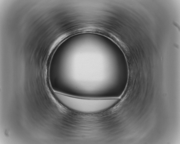 X0000091531418200708170940