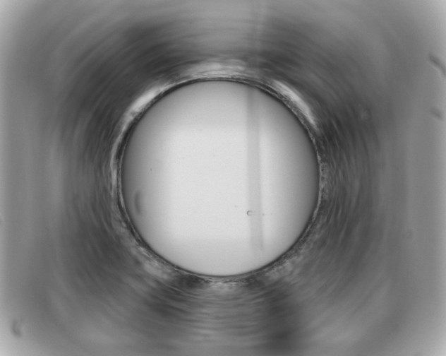 X0000091531419200708170940