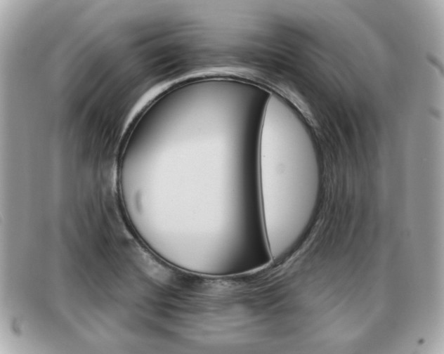 X0000091531420200708170940