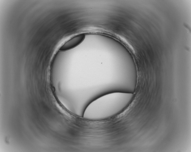 X0000091531421200708170940