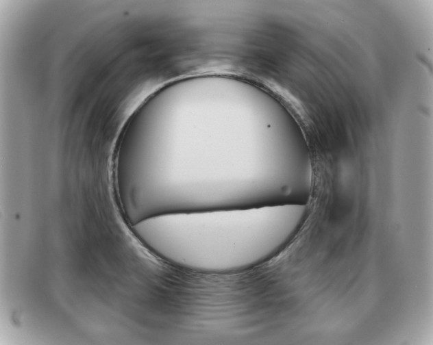 X0000091531423200708170940