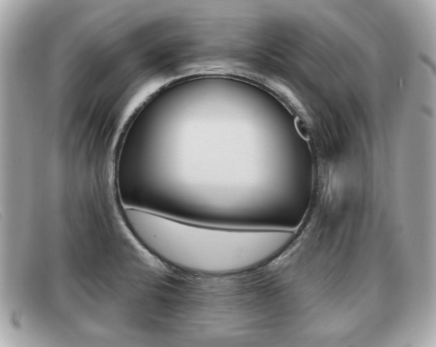 X0000091531424200708170940