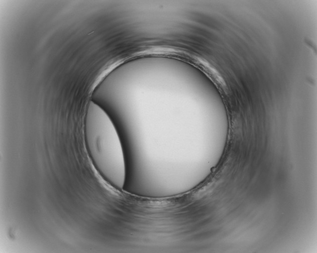 X0000091531425200708170940