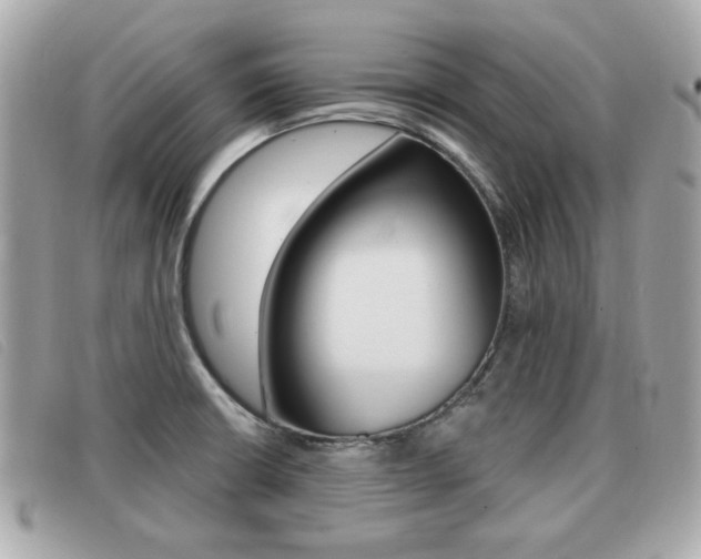 X0000091531426200708170940