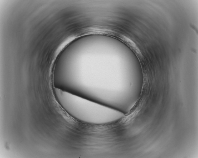 X0000091531427200708170940