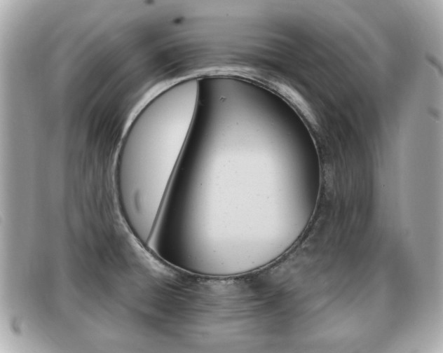 X0000091531428200708170940