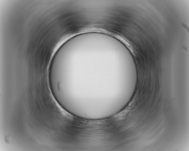 X0000091531430200708170940