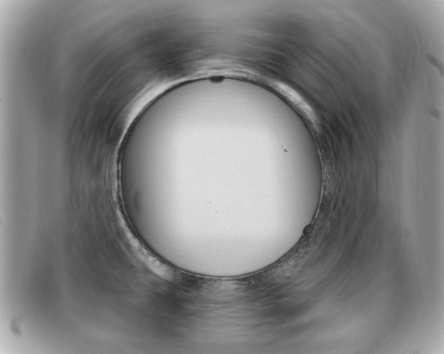 X0000091531431200708170940