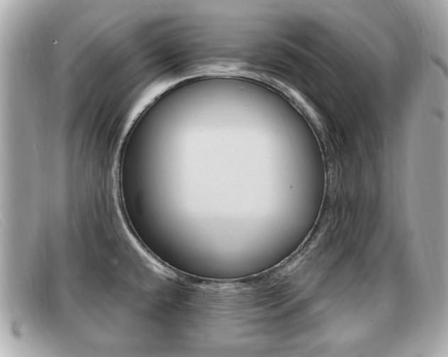 X0000091531432200708170940