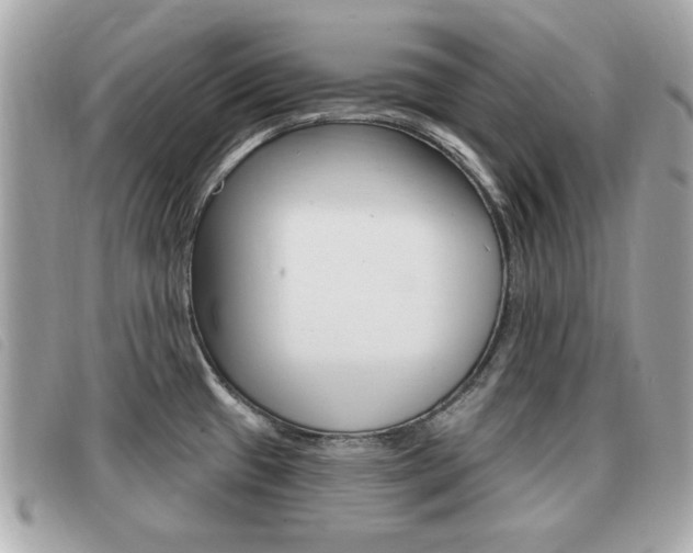 X0000091531433200708170940