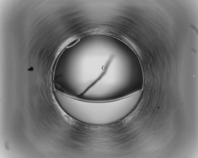 X0000091531434200708170940