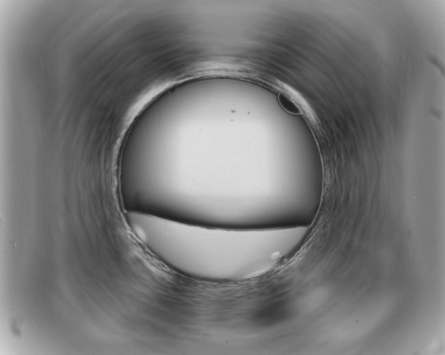 X0000091531435200708170940