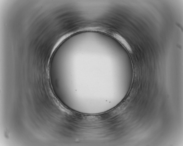 X0000091531436200708170940