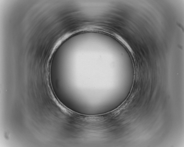 X0000091531437200708170940
