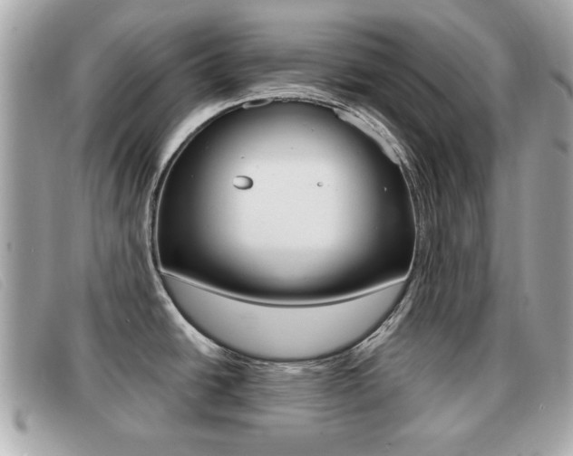 X0000091531438200708170940