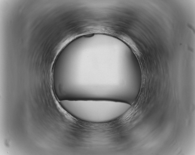 X0000091531439200708170940