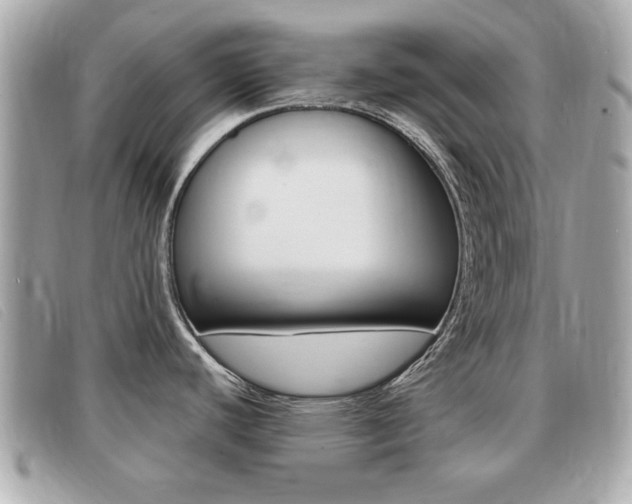 X0000091531440200708170940