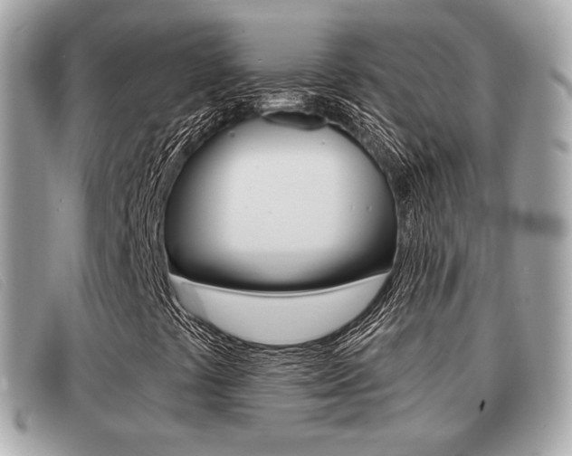 X0000091531441200708170940