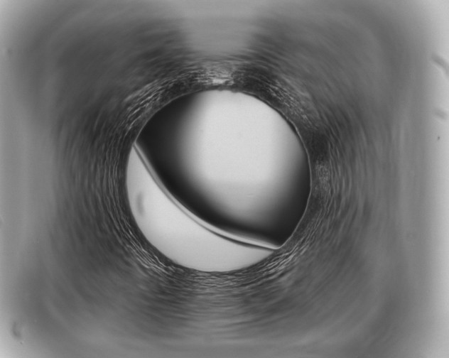 X0000091531442200708170940