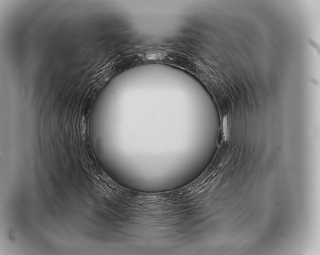 X0000091531443200708170940