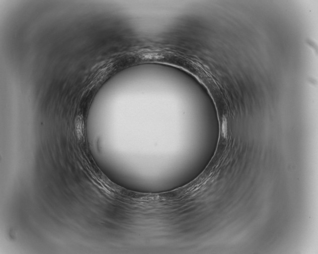 X0000091531444200708170940