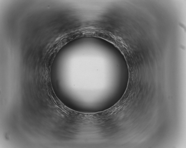 X0000091531445200708170940