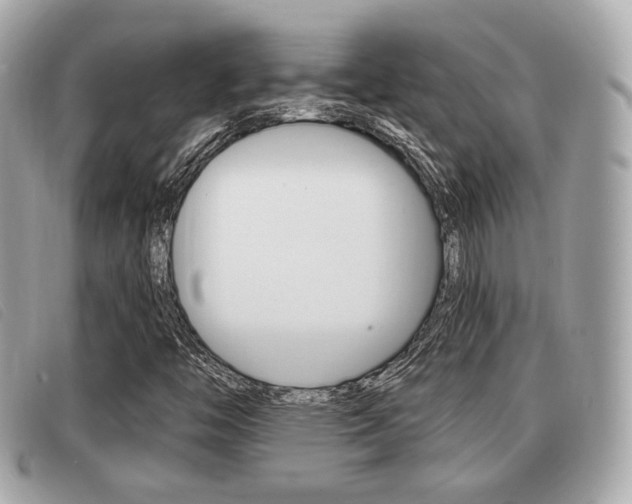 X0000091531446200708170940