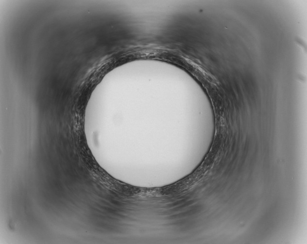 X0000091531447200708170940