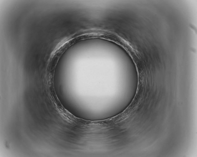 X0000091531448200708170940