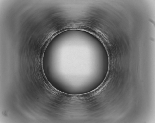 X0000091531449200708170940