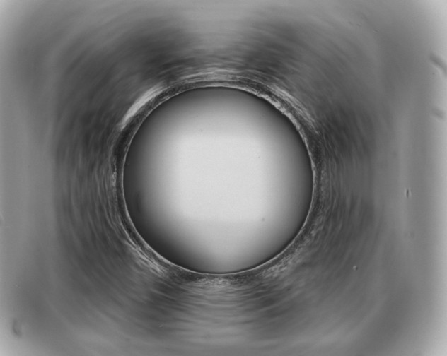 X0000091531450200708170940