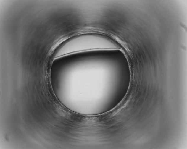 X0000091531453200708170940