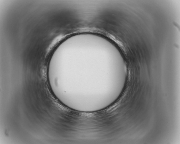 X0000091531454200708170940