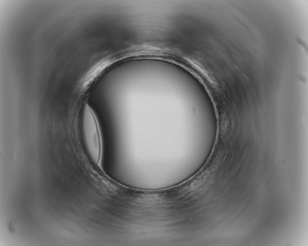X0000091531455200708170940