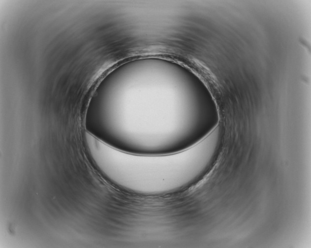 X0000091531457200708170940