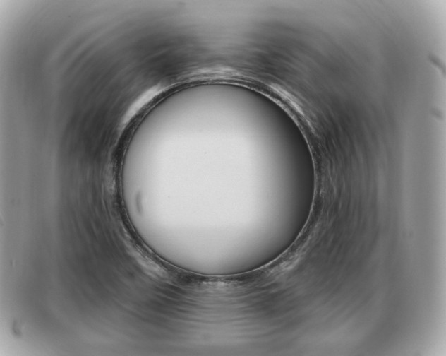 X0000091531458200708170940