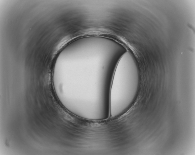 X0000091531459200708170940
