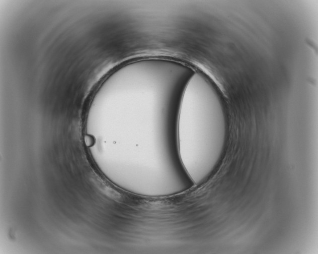 X0000091531460200708170939