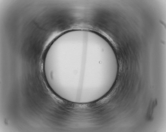 X0000091531462200708170939