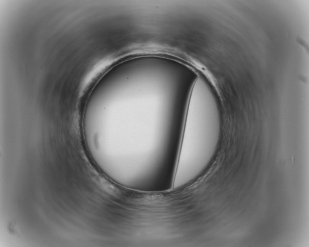 X0000091531464200708170939