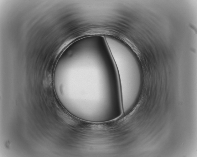 X0000091531465200708170939