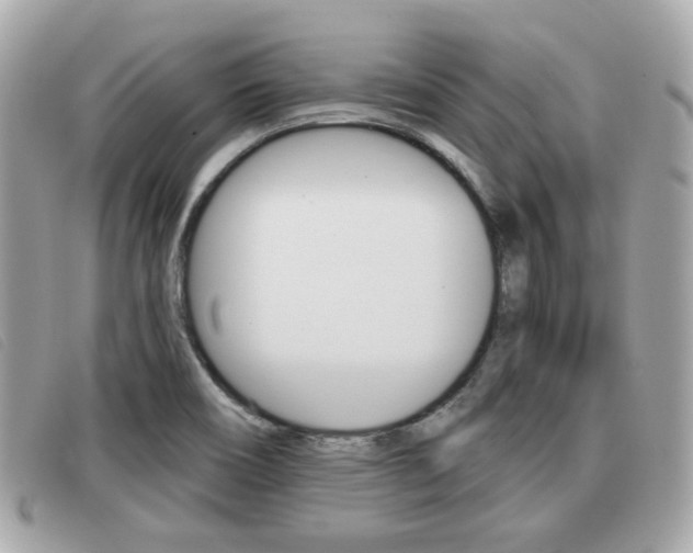 X0000091531466200708170939