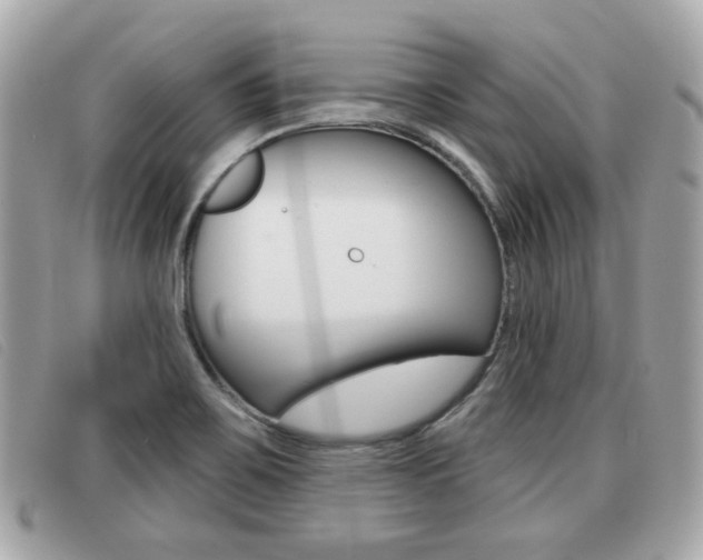 X0000091531467200708170939